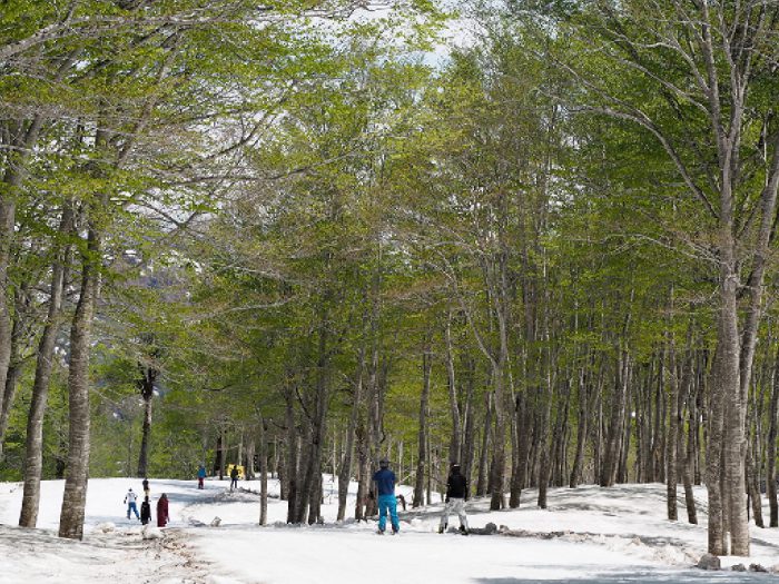 奥只見丸山スキー場